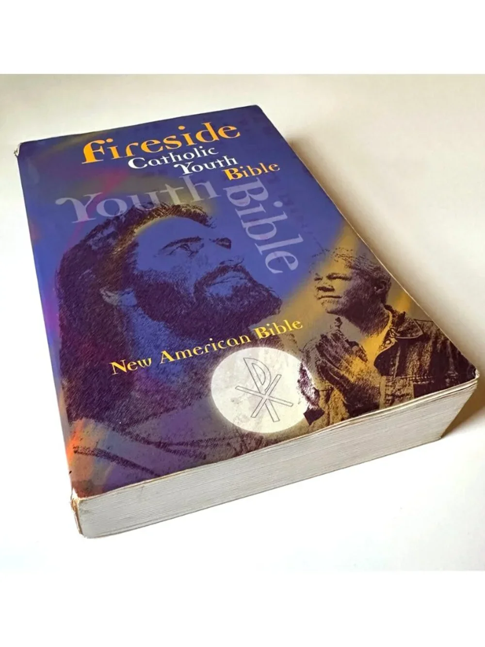Catholic Youth Bible NAB New American Bible Fireside Softcover 2004